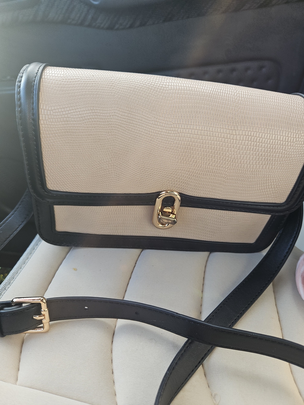 Classic Beige and Black Crossbody Bag with Gold Hardware